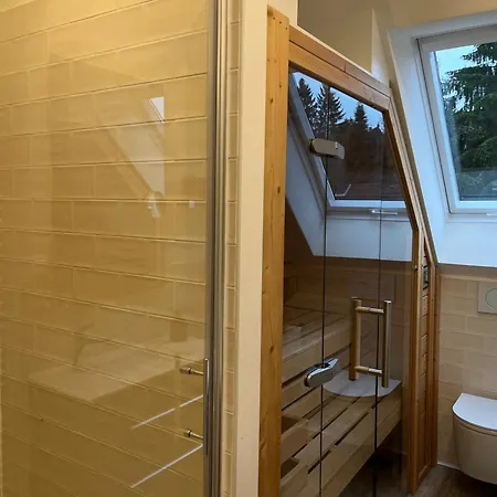 Lejlighed Wurmbergbude Mit Sauna Und Dachterrasse Braunlage